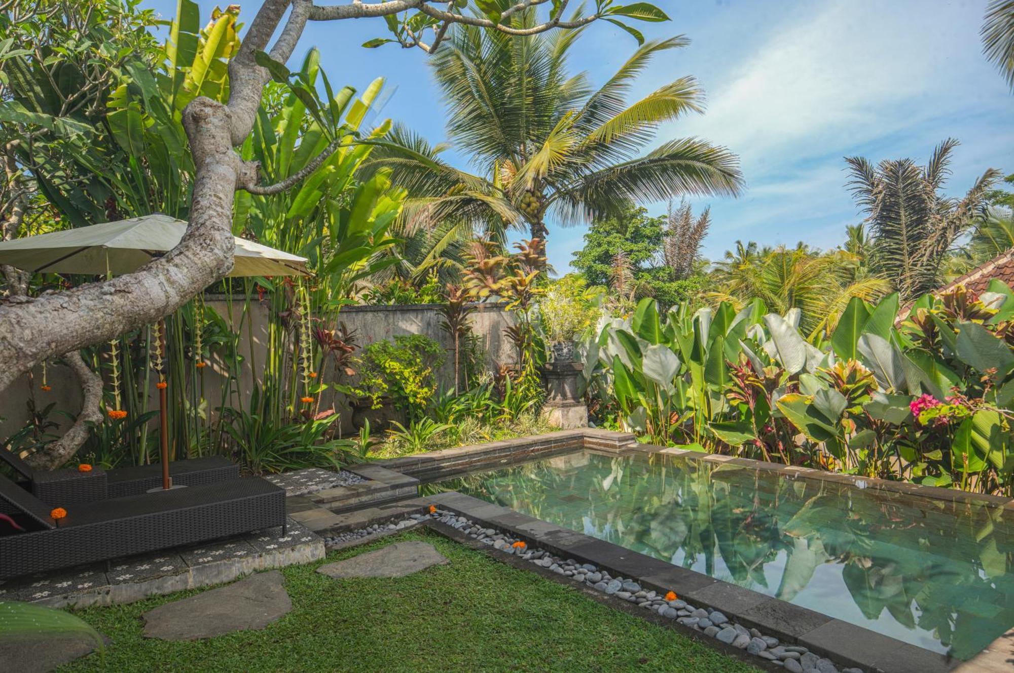 Taluh Bebek Ubud Private Villas Екстериор снимка