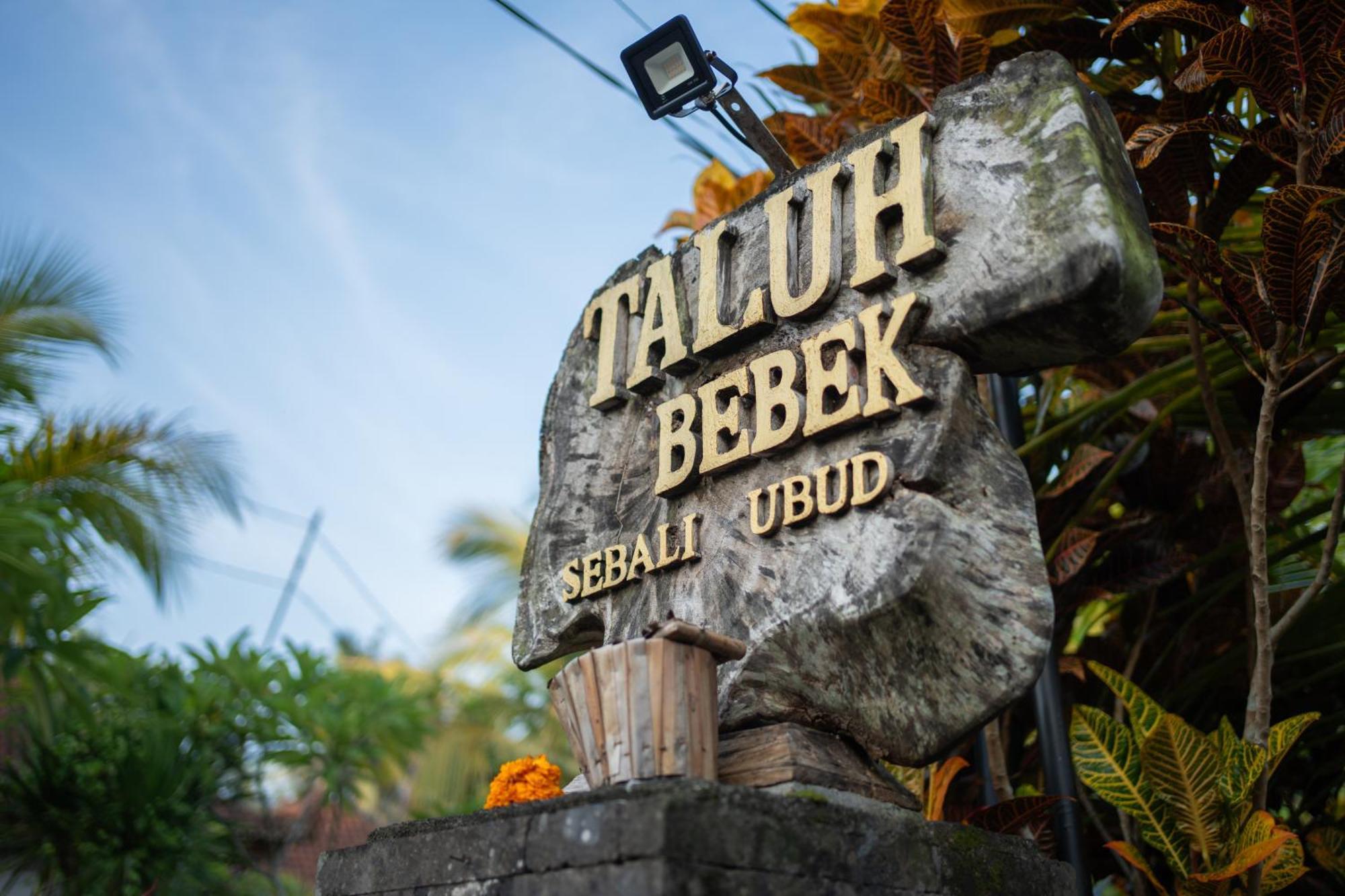 Taluh Bebek Ubud Private Villas Екстериор снимка